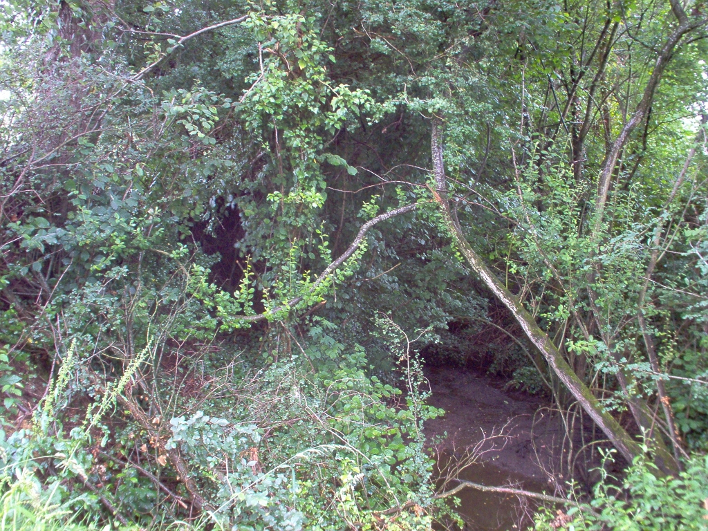 20110000 LA PAVÉE Pont-Farcy 16.jpg - IM000276.JPG